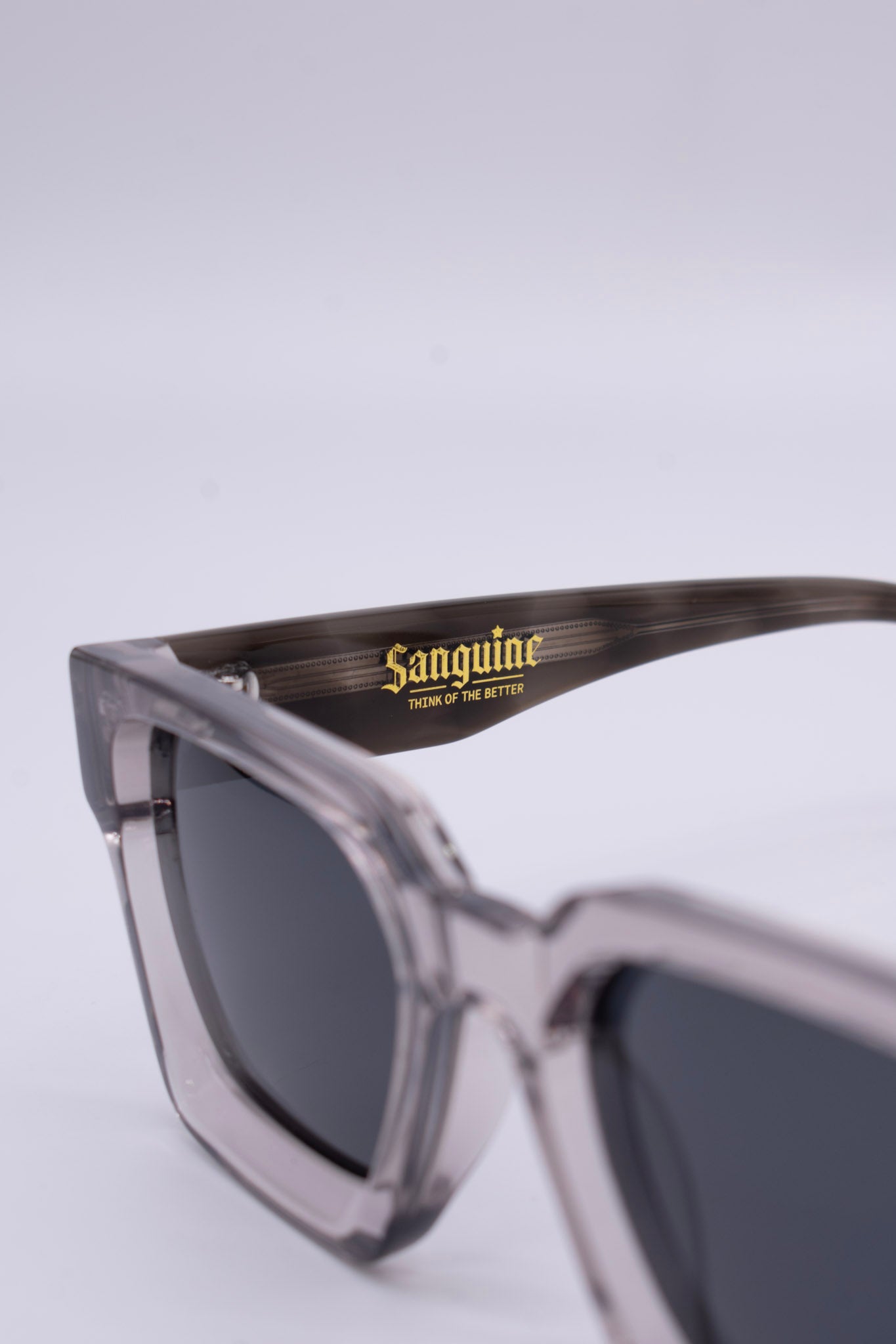 2 Tone Clear Frame Sunglasses