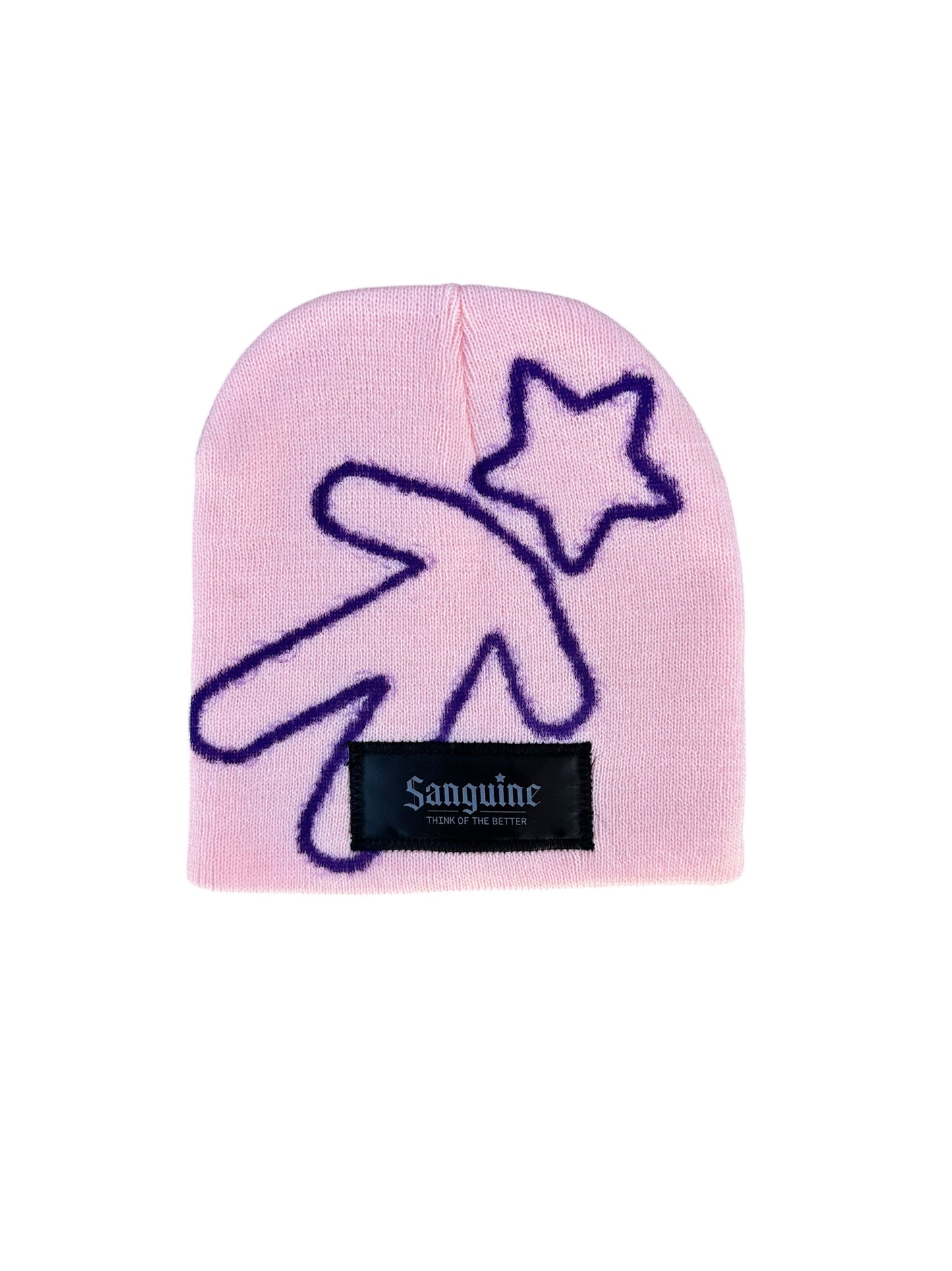 Light Pink & Purple Beanie