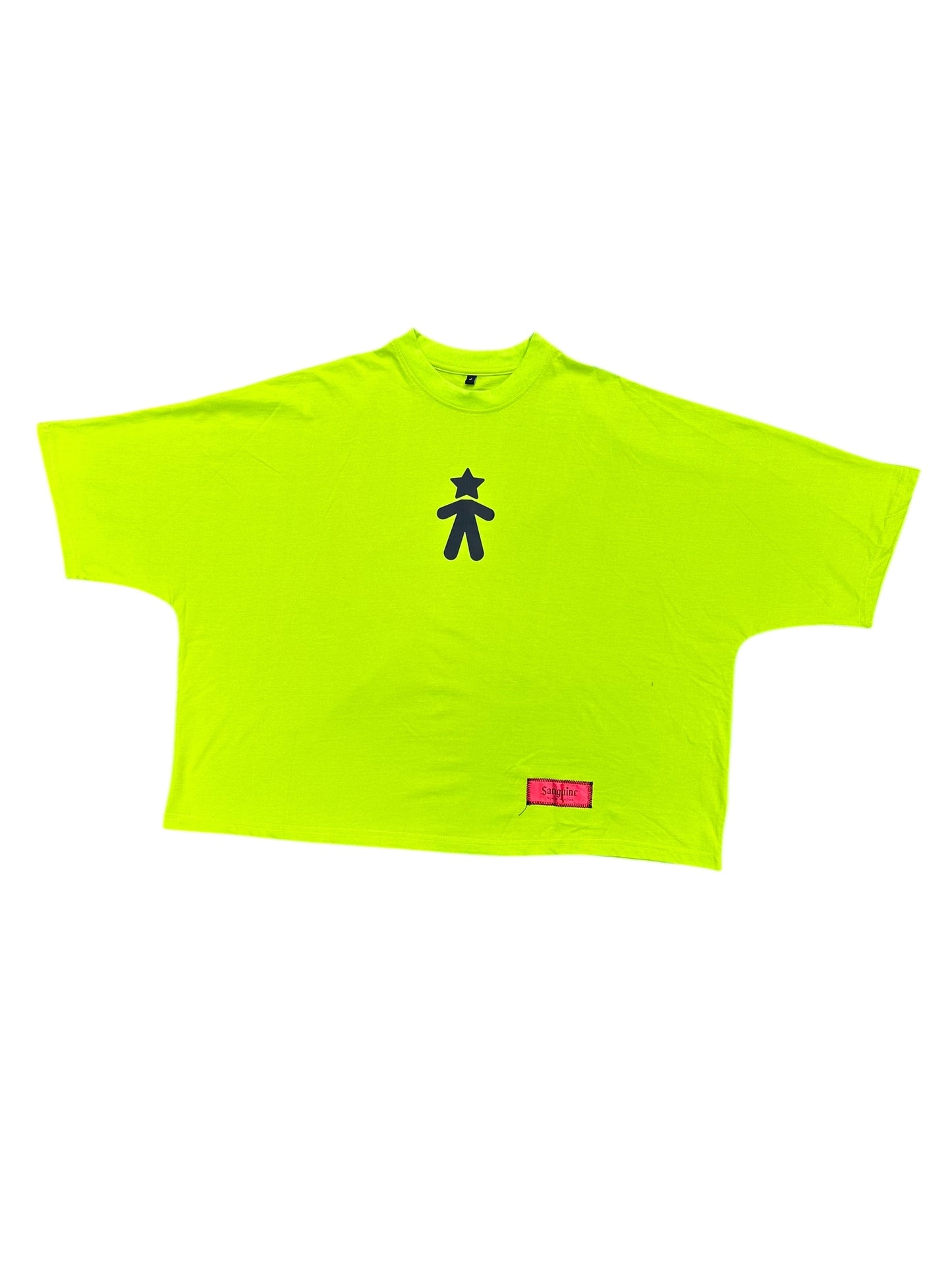 Neon 2 panel boxy tee