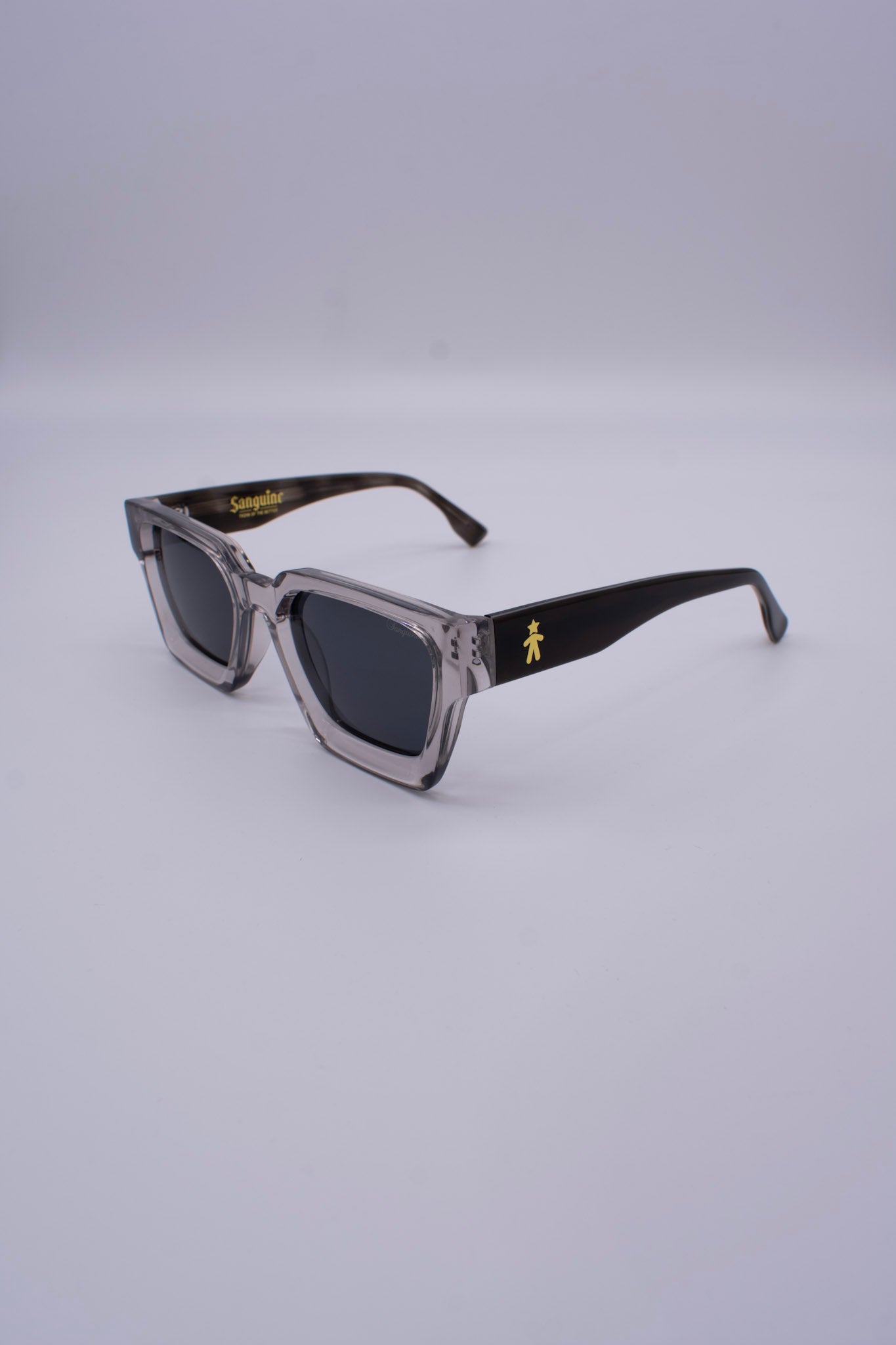 2 Tone Clear Frame Sunglasses