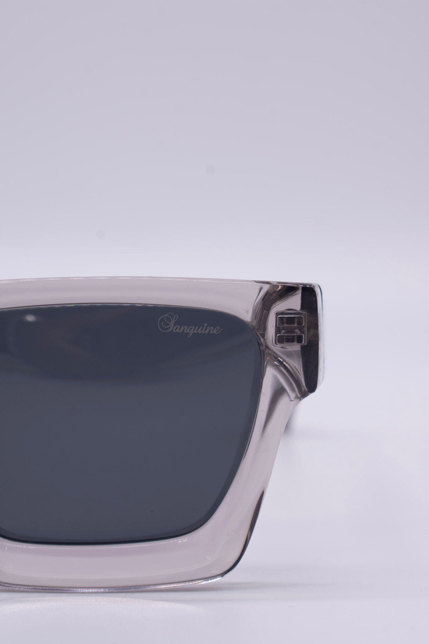 2 Tone Clear Frame Sunglasses