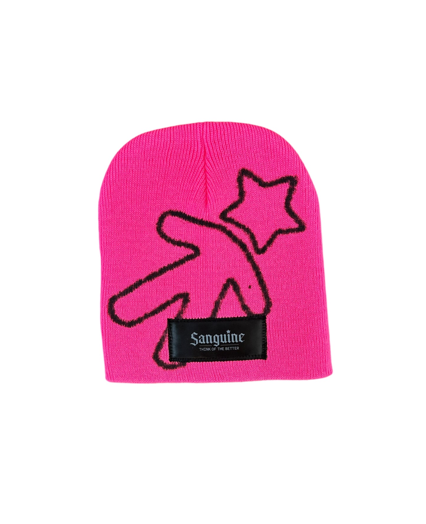 Pink & Black Beanie