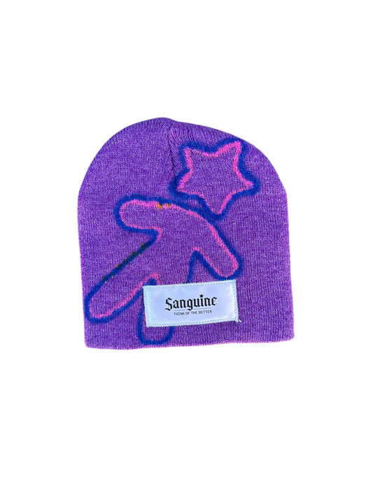 Purple & Blue/Pink Beanie