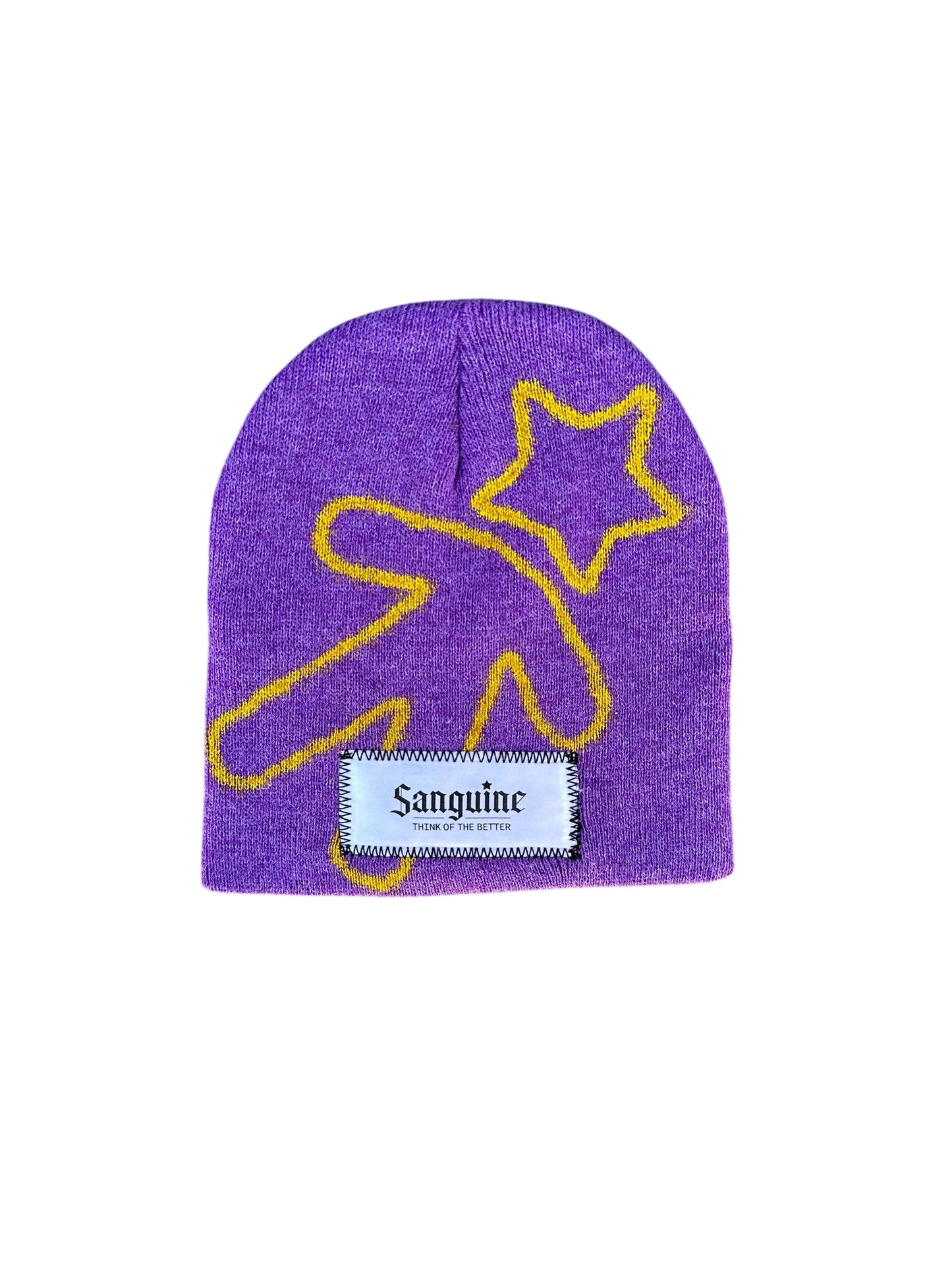 Purple & Yellow Beanie