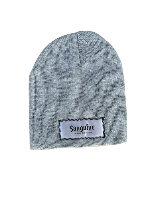 Grey on Grey Beanie