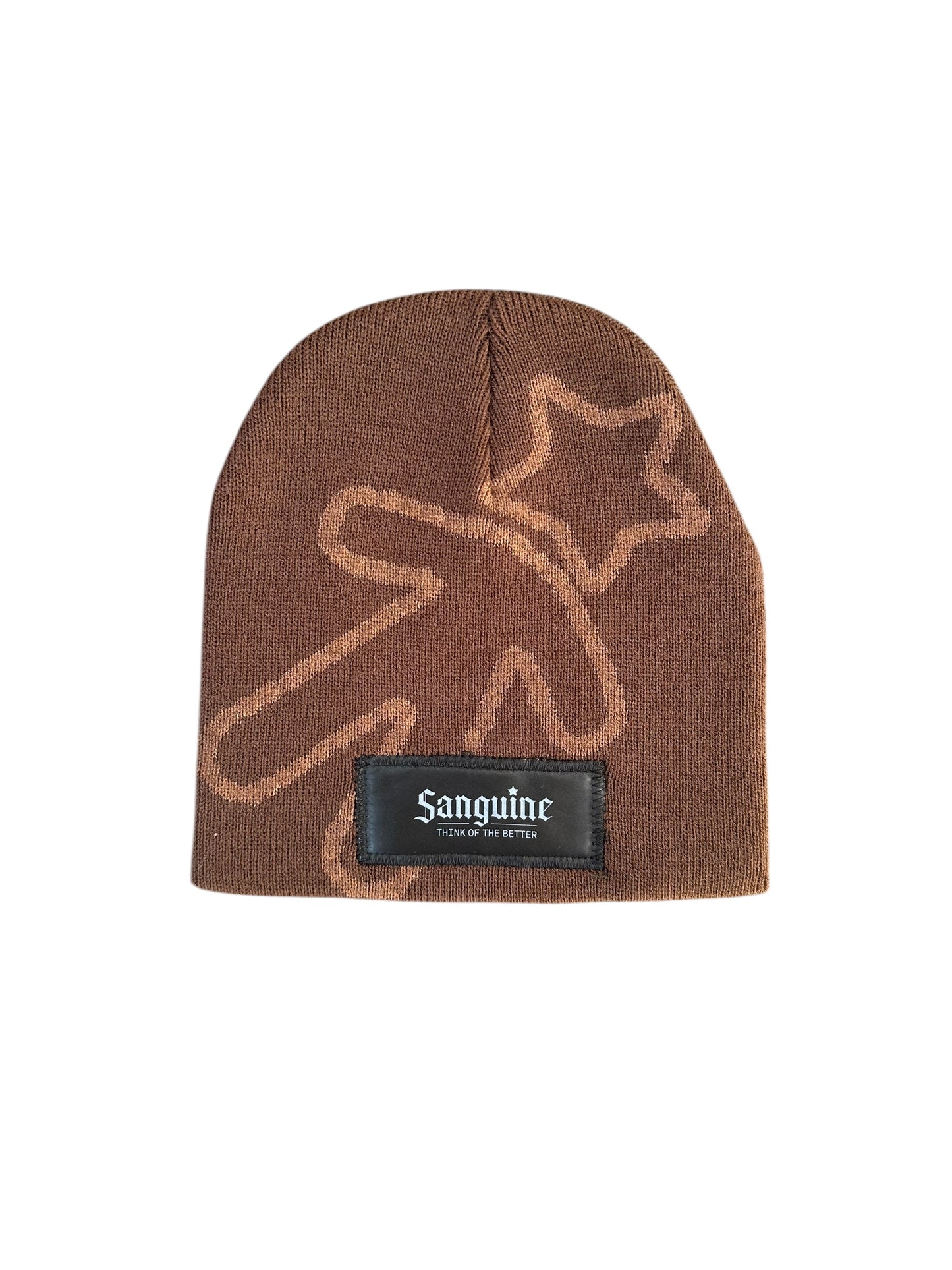 Brown & Bronze Beanie