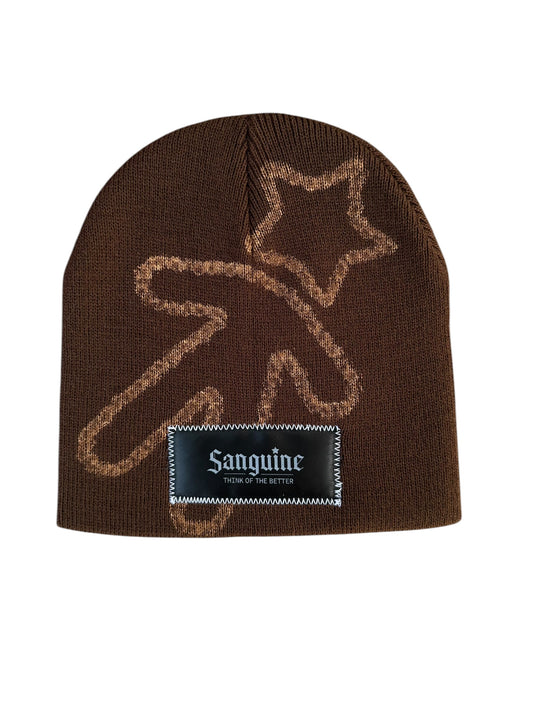 Brown & Bronze Beanie